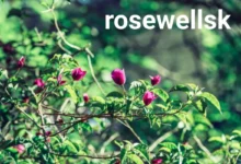 Rosewellsk