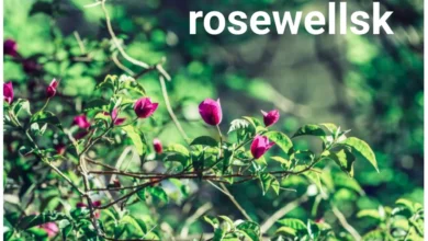 Rosewellsk