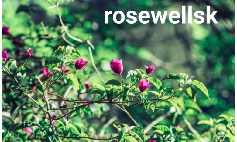 Rosewellsk